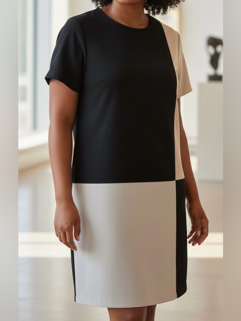 Evan Picone Black and Cream Colorblock Shift Dress